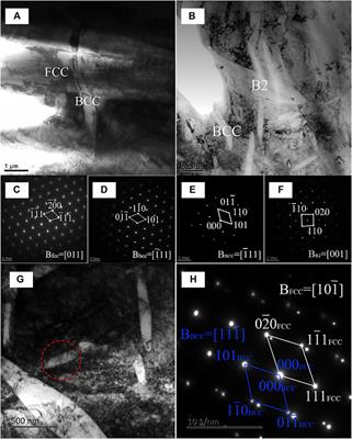 Thermal–Mechanical Processing and Strengthen in AlxCoCrFeNi High-Entropy Alloys